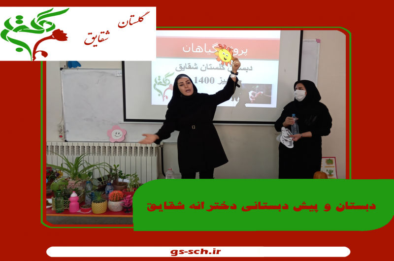 دبستان و پیش دبستانی دخترانه شقایق