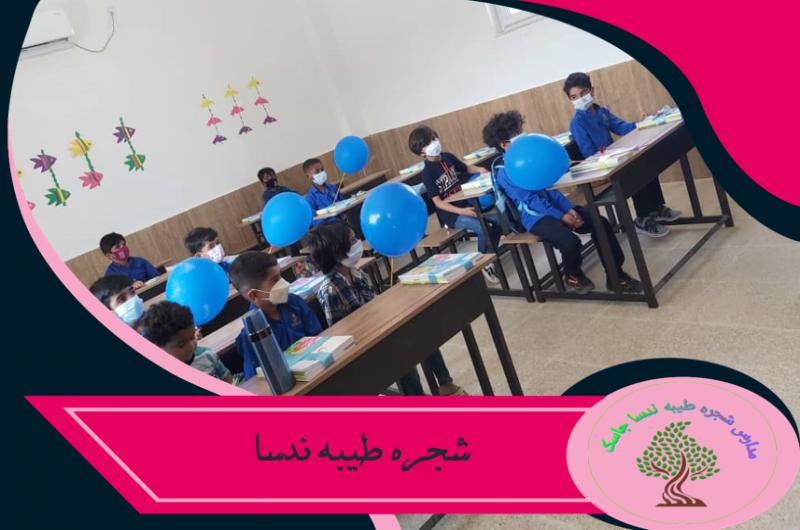 شجره طیبه ندسا